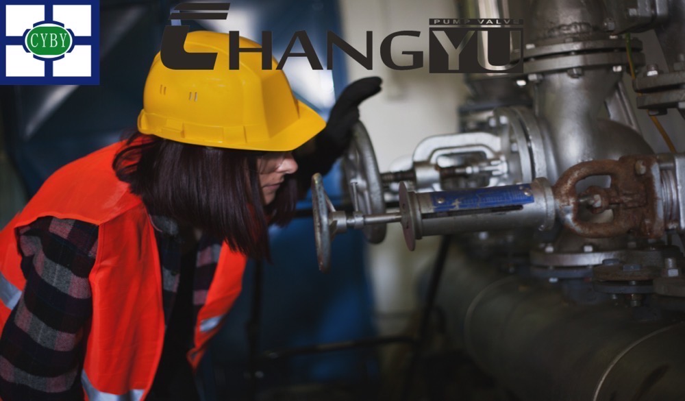Causes and Solutions for Excessive Noise in Magnetic Drive Pumps